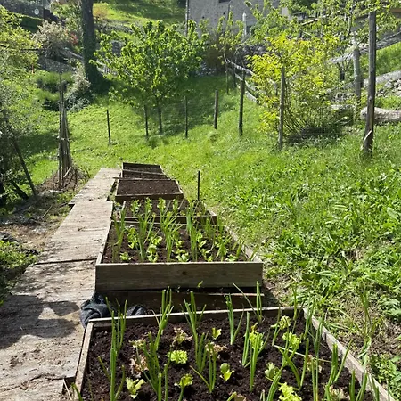La Foce Apartment Sassi
